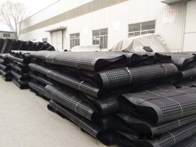 賀州(種植屋頂排水板)茂名建筑車庫(kù)疏水板