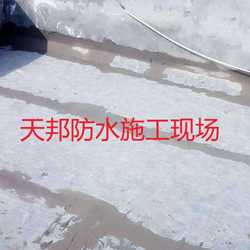 建筑防水卷材產品 價格、廠家與中國供應商全解析